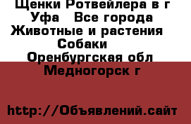 Щенки Ротвейлера в г.Уфа - Все города Животные и растения » Собаки   . Оренбургская обл.,Медногорск г.